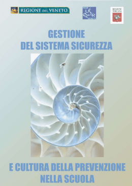 Manuale "Gestione del sistema di sicurezza e cultura della