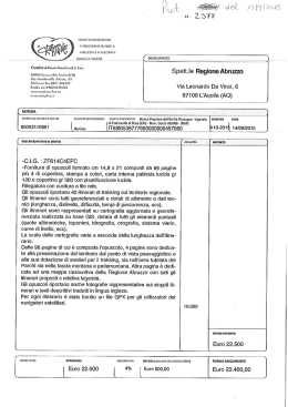 FLASIICl E GIOCHl ( DESÎINATARIO
