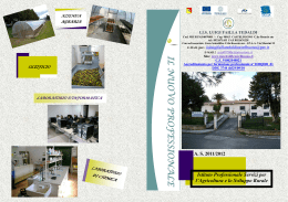 scarica brochure orientamento ipaa 2011