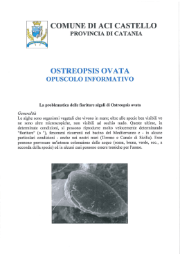 Opuscolo Informativo 2014