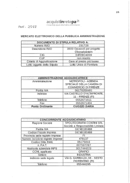 mercato elettronico della pubblica amministrazione
