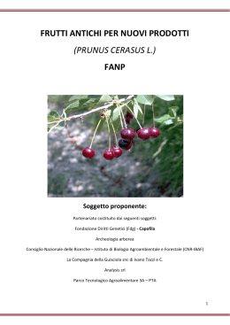 frutti antichi per nuovi prodotti (prunus cerasus l.) fanp