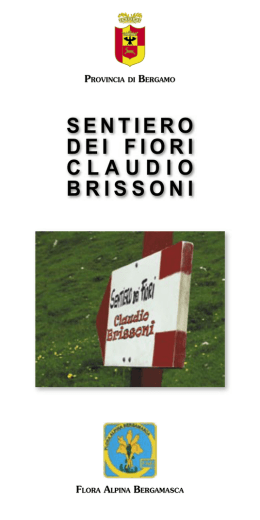 Scarica l`intera brochure  4,6M