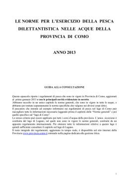 Scarica PDF 119.11 KB