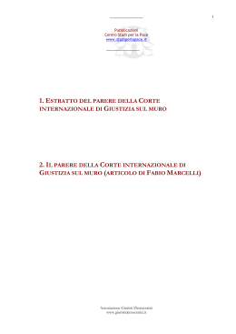 2. il parere della corte internazionale di giustizia