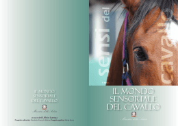 il mondo sensoriale del cavallo