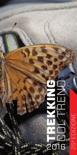 the pdf booklet - Trekking col treno
