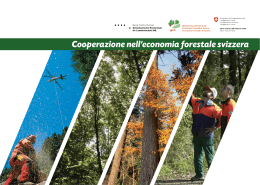 Cooperazione nell`economia forestale svizzera