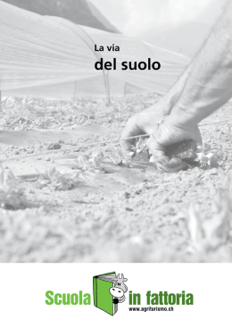 L`origine del suolo
