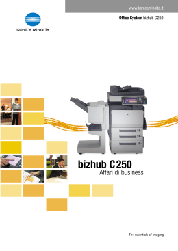 bizhub C250 - Catalogo GasNet Group