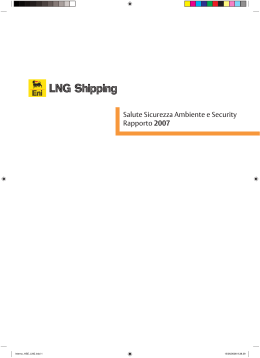 Salute Sicurezza Ambiente e Security Rapporto 2007