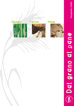 Dal grano al pane