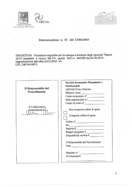 determina crt.n.53 del 12.06.2015