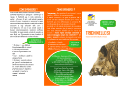 Opuscolo Informativo Trichinella