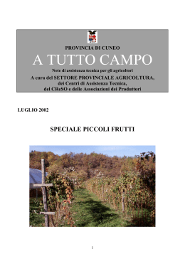 Luglio 2002 - Provincia di Cuneo