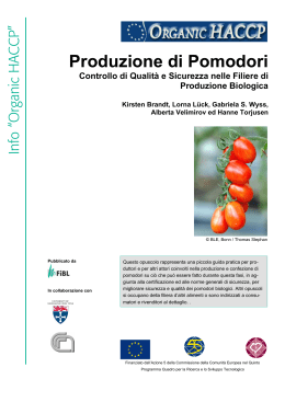 Produzione di Pomodori