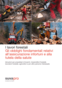 I lavori forestali. Gli obblighi fondamentali relativi all