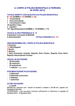 Dati definitivi sulle pi&ugrave; rilevanti attivit&agrave; svoltesi nell`anno 2013