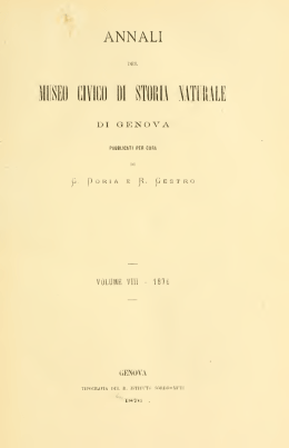 Pavesi 1876 Violante