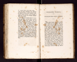 Sezione Terza. Considerazioni generali sugli del dell`Egitto.