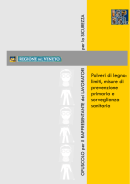 Polveri di legno: limiti, misure di prevenzione primaria e