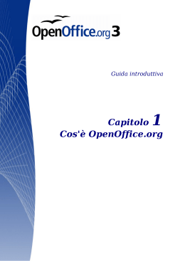 Cos`è OpenOffice.org