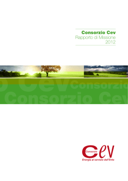 Rapporto di Missione 2012 Consorzio Cev