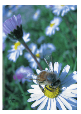 Sistemi di Relazione e Strumenti di