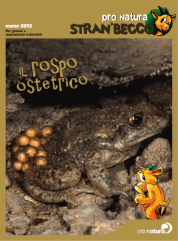 disponibile in pdf - Pro Natura Ticino