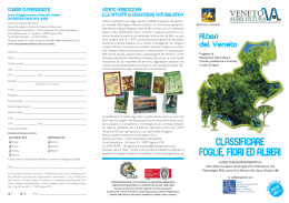 dépliant informativo pdf - Ufficio Scolastico Regionale per il Veneto