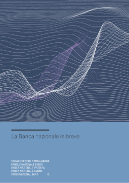 La Banca nazionale in breve 2015
