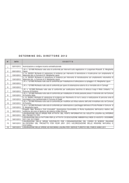 Registro Determine Direttore 2012