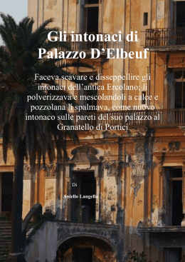 Gli intonaci di Palazzo D`Elbeuf