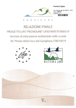 relazione conclusiva 2011