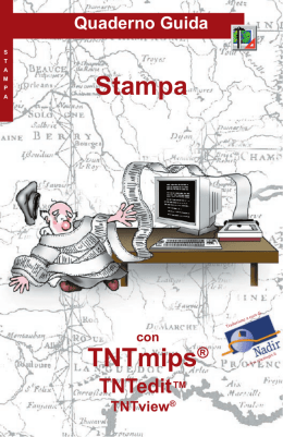 Stampa TNTmips&reg;
