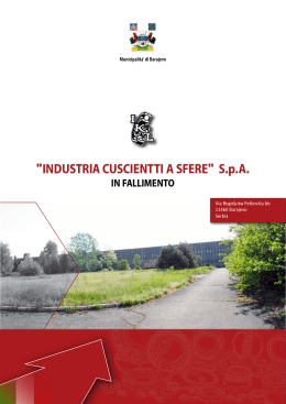 "INDUSTRIA CUSCIENTTI A SFERE" S.p.A.