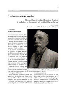 scarica pdf 645.539KB