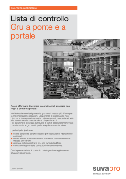Lista di controllo Gru a ponte ea portale
