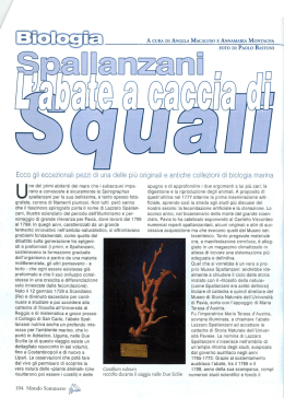 Mondo Sommerso 2001