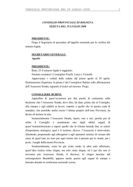 Verbale Consiglio 29-07-2008
