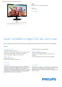 Product Leaflet: Monitor LCD V Line con