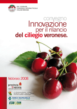 Scarica il documento - Provincia di Verona