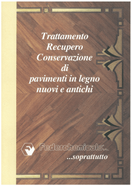 Trattamento legno I