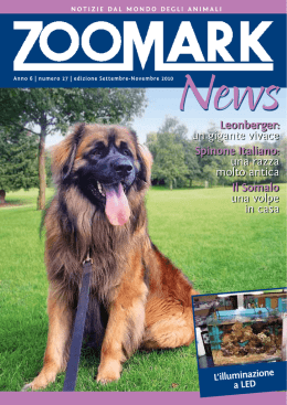 leonberger - Zoomark Srl