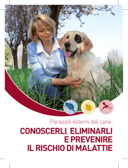 Scarica questa pubblicazione come PDF