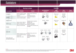 Protezione del Saldatore