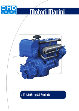 dati motore diesel a 4 tempi iniezione diretta - desari