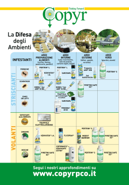 La Difesa - bettini giorgio rappresentate