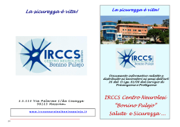 Salute e Sicurezza - IRCCS, Centro Neurolesi “Bonino Pulejo”