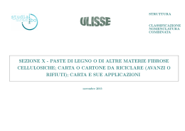 PASTE DI LEGNO, CARTA E SUE APPLICAZIONI